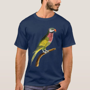 Farbenfrohe Parrot Exotic Bird Beak Feather Womenx T-Shirt