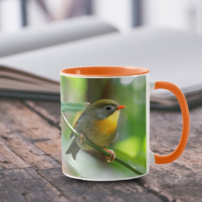 Farbenfrohe Pekin Robin Songbird am Zweig Tasse (Colorful Pekin Robin 11 oz Coffee Mug Cover Photo.)