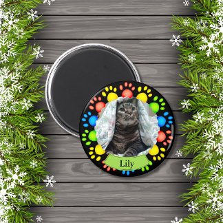 Farbenfrohe Pet Pad Drucke nach Maß Magnet