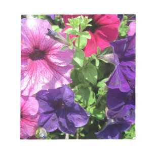 Farbenfrohe Petunias Notizblock