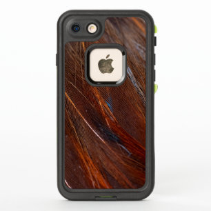 Farbenfrohe Pfauenfeder im Detail