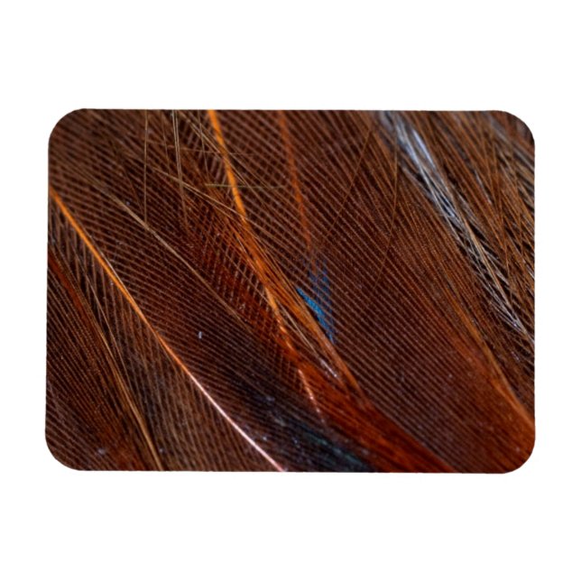 Farbenfrohe Pfauenfeder im Detail Magnet (Horizontal)