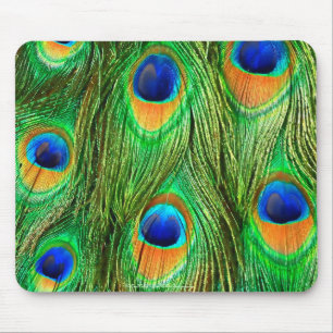 Farbenfrohe PfauenFedern drucken Mousepad