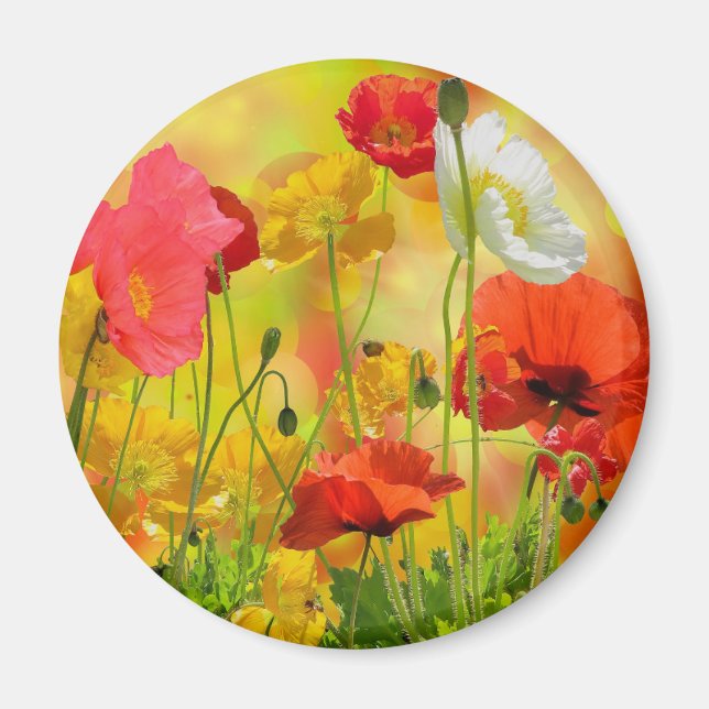 Farbenfrohe Poppies Magnet (Vorne)