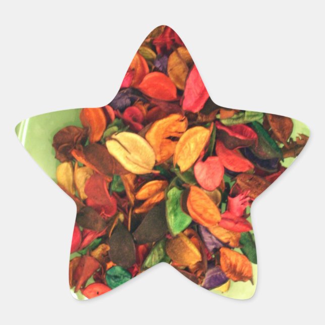 Farbenfrohe Potpourri: Ein sanftes Display Stern-Aufkleber (Vorderseite)
