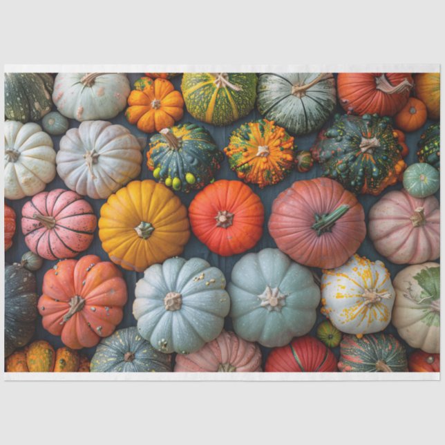 Farbenfrohe Pumpkins Gourds und Squash Decoupage Seidenpapier (Vorderseite)