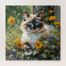 Farbenfrohe Ragdoll Katze, Spaß und Herausforderun