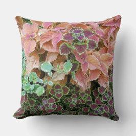 Farbenfrohe Rainbow Coleus Pflanze Fotografie Kissen