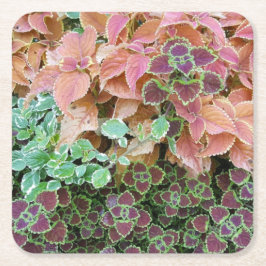 Farbenfrohe Rainbow Coleus Pflanze Fotografie Rechteckiger Pappuntersetzer