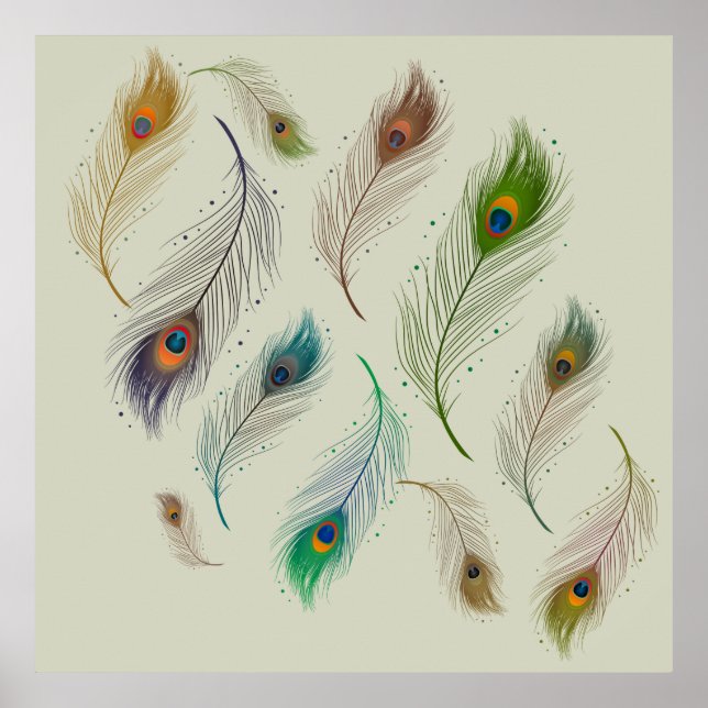Farbenfrohe realistische Vogelfedern Poster (Vorne)