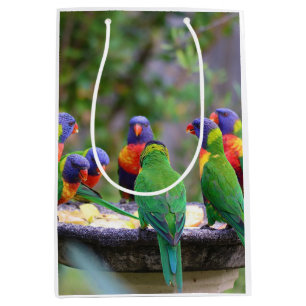 Farbenfrohe Regenbogen-Lorikeet-Papageien essen Mittlere Geschenktüte
