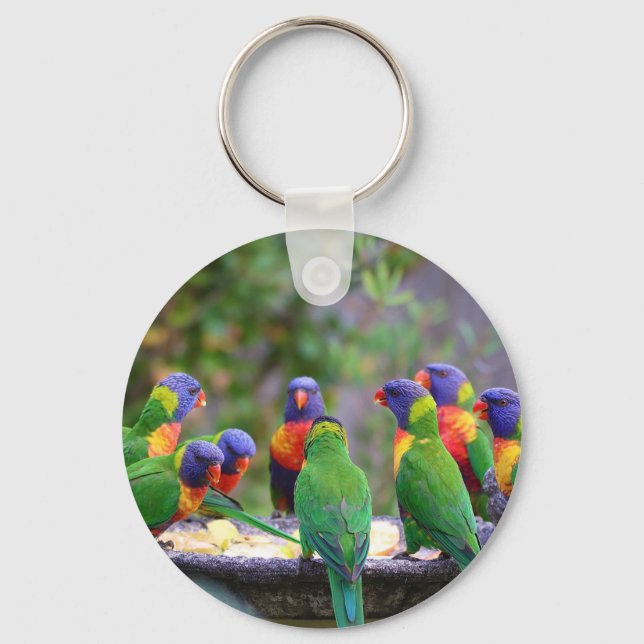 Farbenfrohe Regenbogen-Lorikeet-Papageien essen Schlüsselanhänger (Vorderseite)