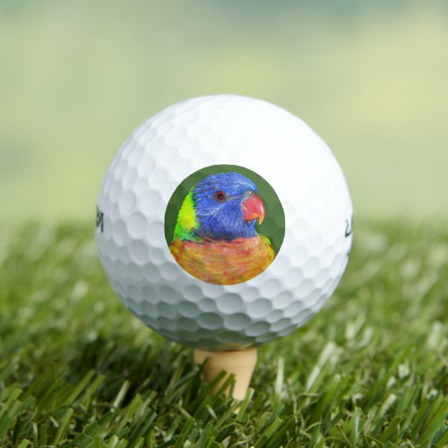 Farbenfrohe Regenbogen Lorikeet Parrot Foto Golfball (Insitu T-Shirt)