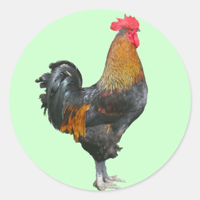 Farbenfrohe Rooster-Aufkleber Runder Aufkleber (Vorderseite)