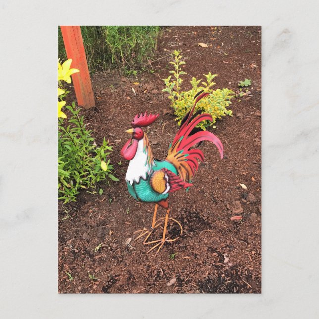 Farbenfrohe Rooster im Garten Postkarte (Vorderseite)