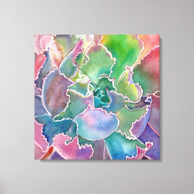 Farbenfrohe Rosette sukkuline Aquarellfarbe Leinwanddruck (Vorderseite)
