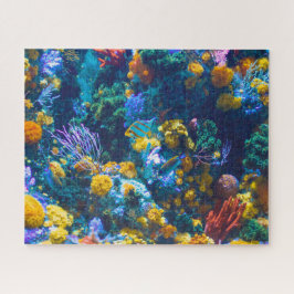 Farbenfrohe Salz Water Fish Tank