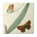 Farbenfrohe Schmetterlinge flattern um ein Blatt Fliese<br><div class="desc">Ein gepflegter Ausdruck von zwei bunten Schmetterlingen,  die um ein Blatt schmettern. Während das Stück einfach ist,  strahlt es in seiner Schönheit aus. Geben Sie dies als Geschenk an einen Lieben,  oder verwöhnen Sie sich!</div>