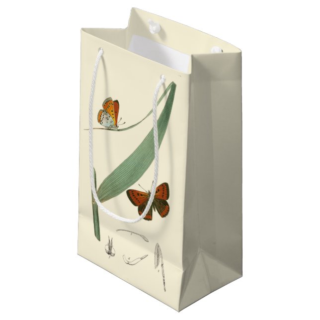 Farbenfrohe Schmetterlinge flattern um ein Blatt Kleine Geschenktüte (Vorderseite Schrägansicht)