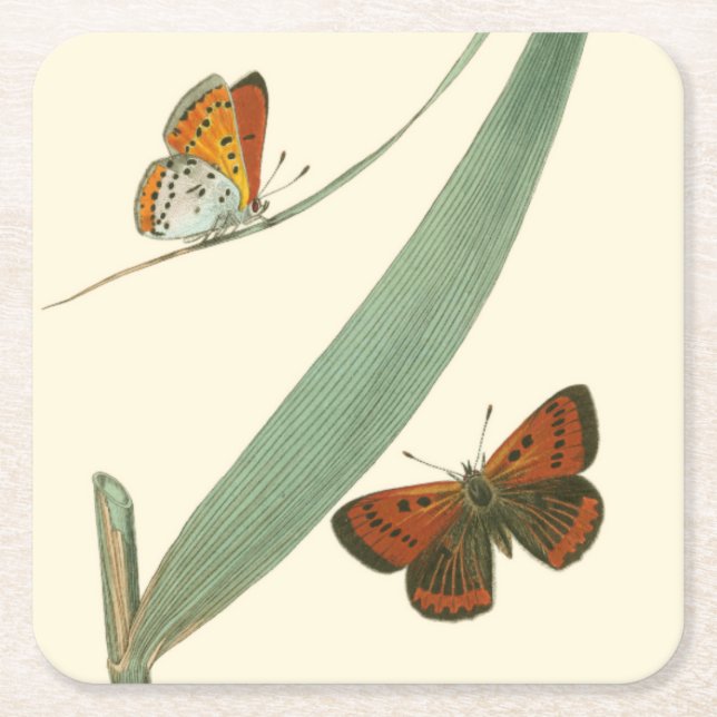 Farbenfrohe Schmetterlinge flattern um ein Blatt Rechteckiger Pappuntersetzer (Vorderseite)