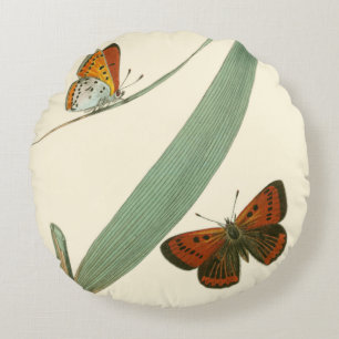 Farbenfrohe Schmetterlinge flattern um ein Blatt Rundes Kissen