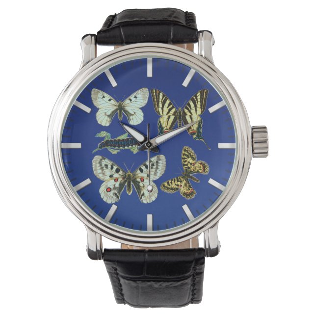 Farbenfrohe Schmetterlinge, Motten und Raupen Armbanduhr (Vorderseite)