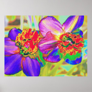 Farbenfrohe Schnörkel Poster