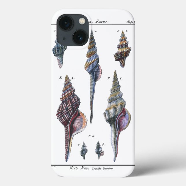 Farbenfrohe Seven Seashells Case-Mate iPhone Hülle (Rückseite)