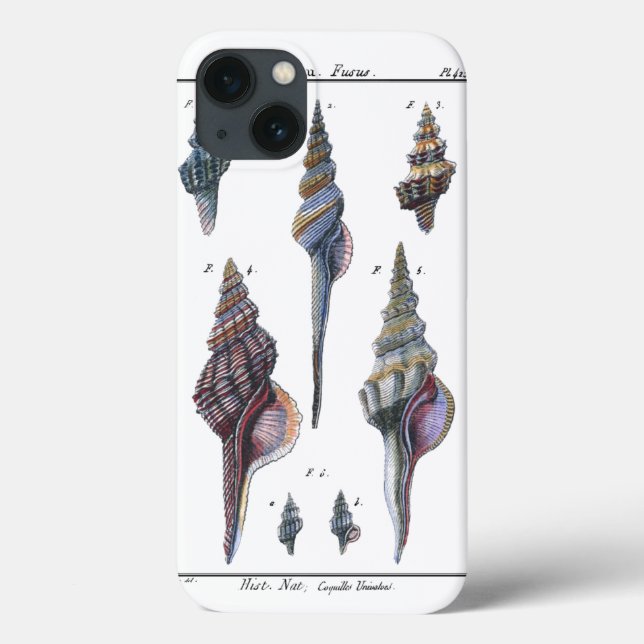 Farbenfrohe Seven Seashells Case-Mate iPhone Hülle (Rückseite)