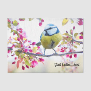 Farbenfrohe Songbird- und Frühlingsblüten, Ihre Bo Seidenpapier