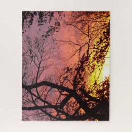 Farbenfrohe Sonnenuntergänge durch seltene Bäume