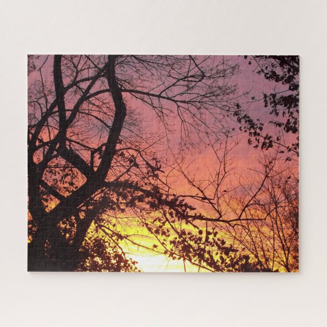 Farbenfrohe Sonnenuntergänge durch seltene Bäume (Horizontal)