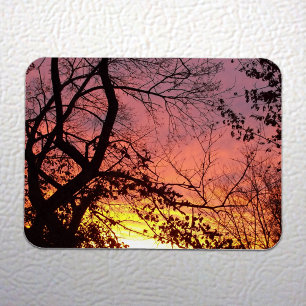 Farbenfrohe Sonnenuntergänge durch seltene Bäume Magnet