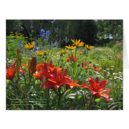 Farbenfrohe Spätsommergarten