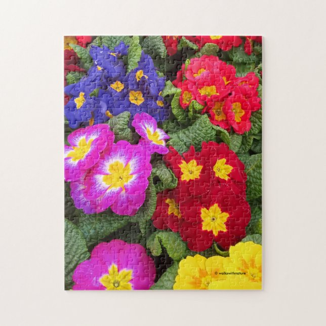 Farbenfrohe Springtime Floral Medley von Primulas (Vertikal)