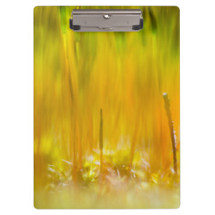 Farbenfrohe Sprossen Klemmbrett