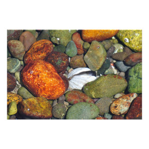 Farbenfrohe Steine und Muscheln Fotodruck
