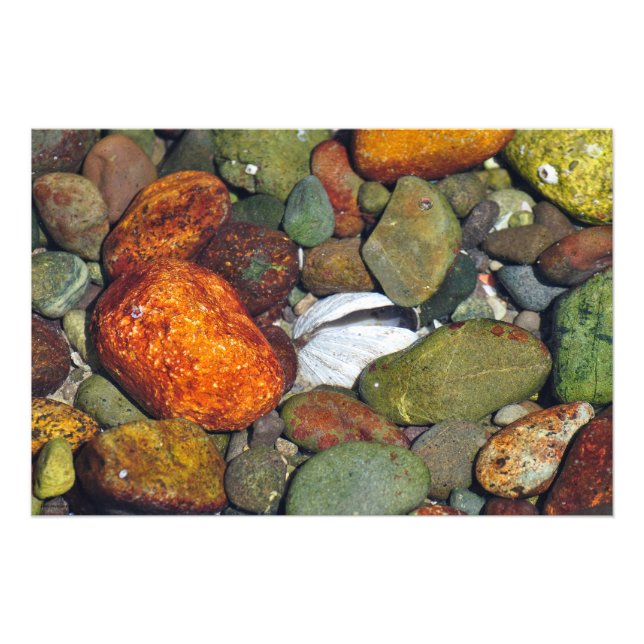 Farbenfrohe Steine und Muscheln Fotodruck (Vorne)