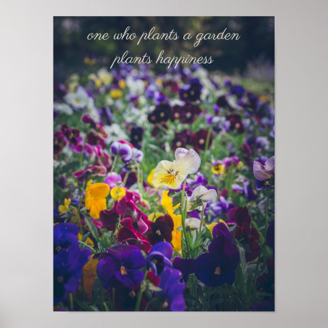 Farbenfrohe Stiefmütterchen im Garten Poster (Vorne)