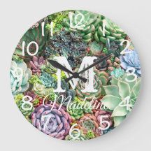 Farbenfrohe Sukkularität