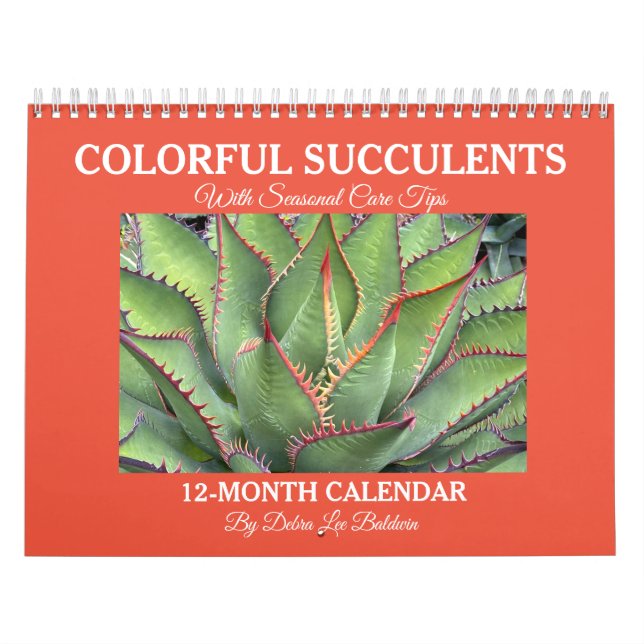 Farbenfrohe Sukkulatur mit Pflegetipps Kalender (Titelbild)