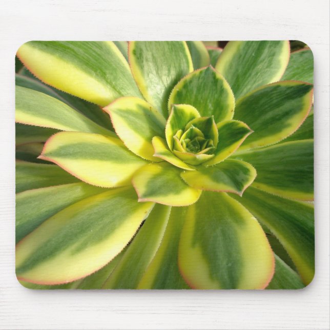 Farbenfrohe Sukkuline Mousepad #2 (Vorne)