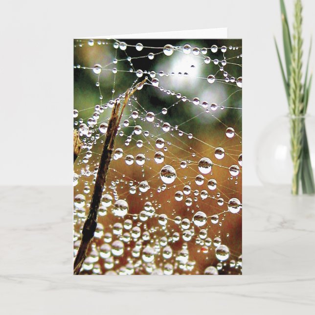 Farbenfrohe Taubenfallen Karte (Vorderseite)