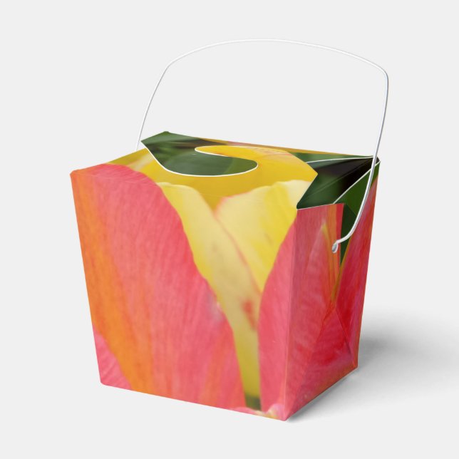 Farbenfrohe Tulip Take Out Gevor Box Geschenkschachtel (Vorderseite)