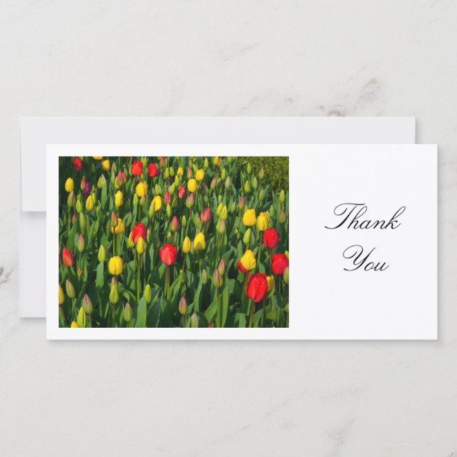 Farbenfrohe Tulips - Danke (Vorderseite)