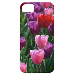 Farbenfrohe Tulips-Fall Case-Mate iPhone Hülle