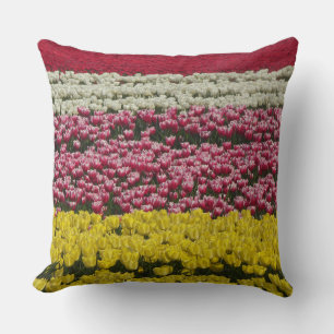 Farbenfrohe Tulips Felsenrows Kissen