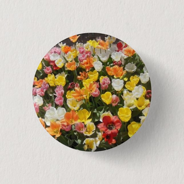 Farbenfrohe Tulissen Button (Vorderseite)
