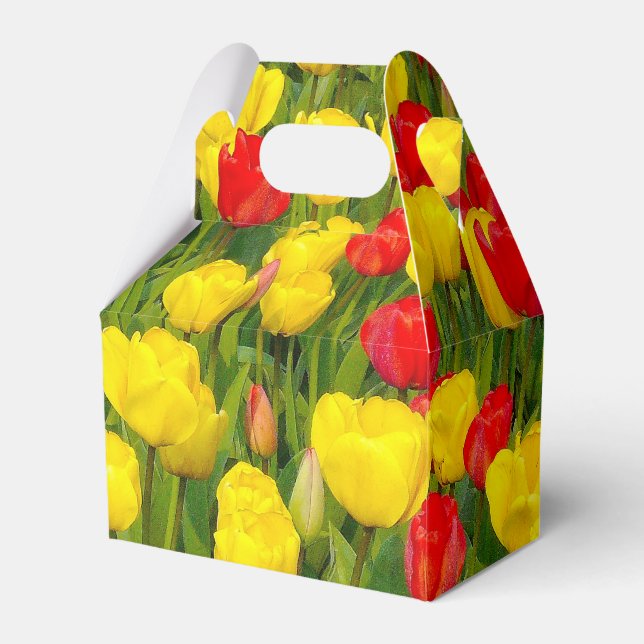 Farbenfrohe Tulissen Geschenkschachtel (Vorderseite)