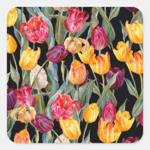 Farbenfrohe Tulpen, abgeschiedener schwarzer Hinte Quadratischer Aufkleber
